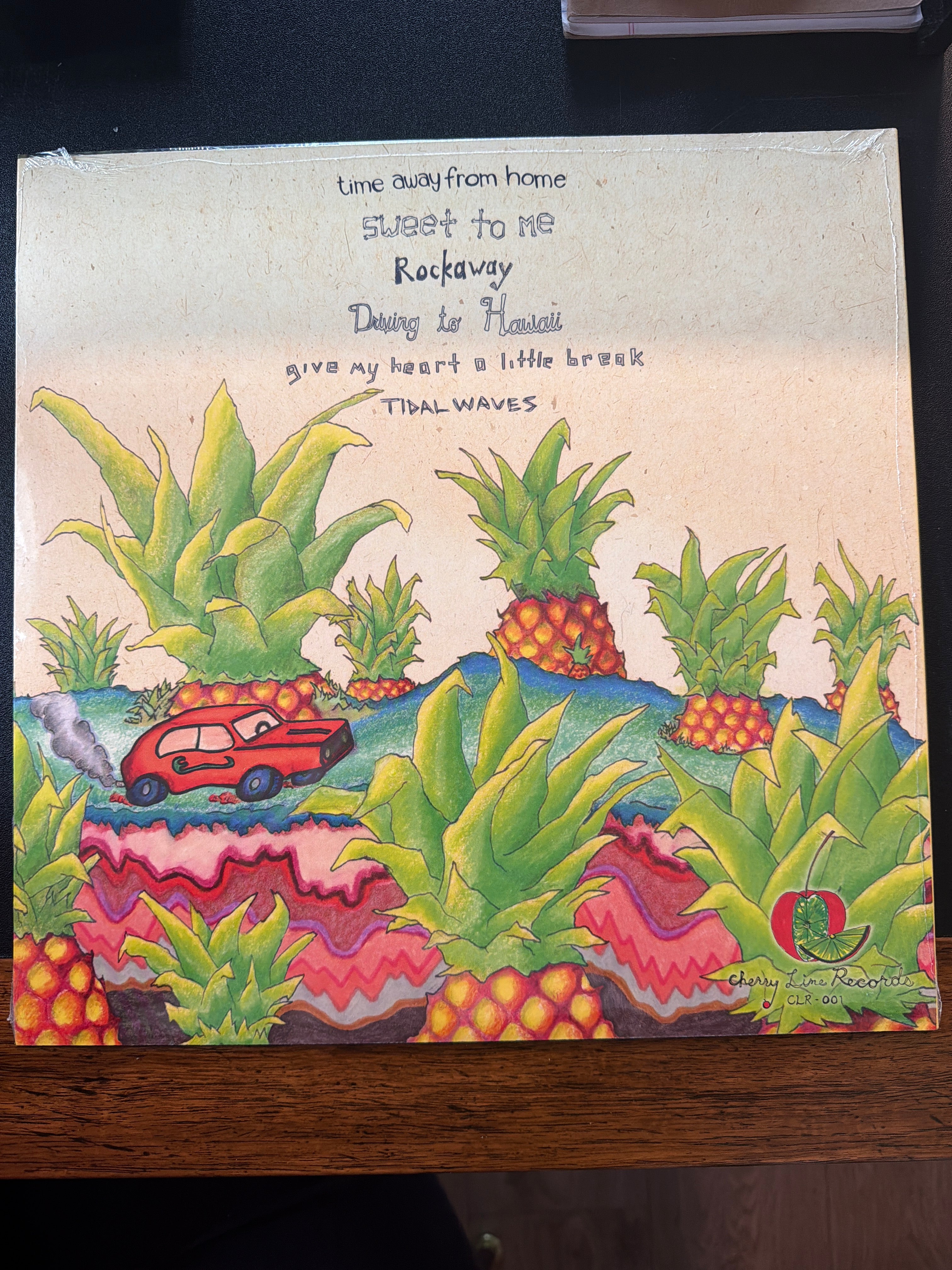 Summer Salt - Driving to Hawaii