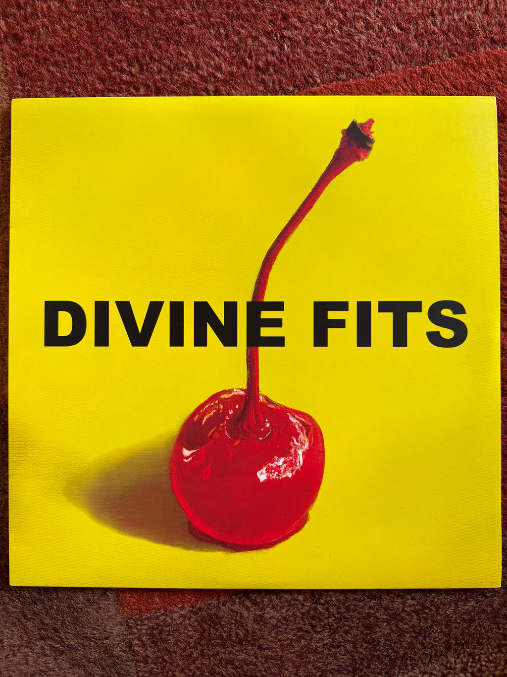 Divine Fits - A Thing Called Divine Fits
