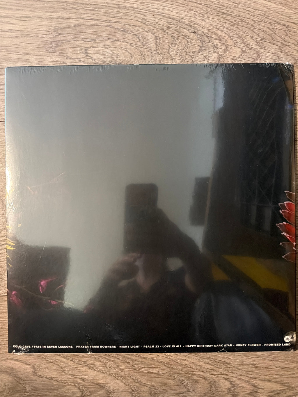 Cold Cave - Fate In Seven Lessons