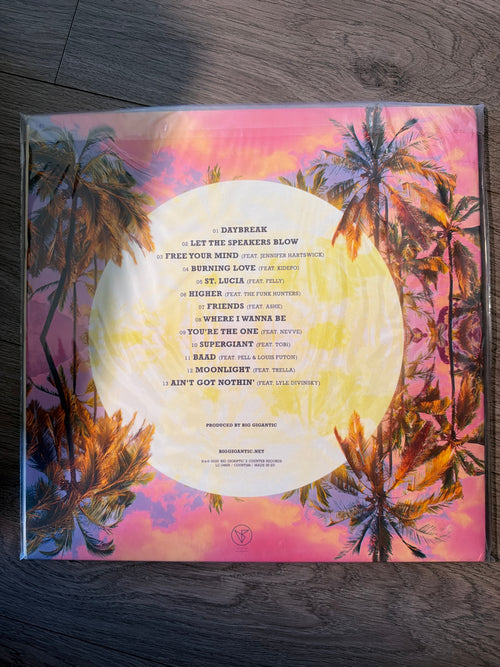 Big Gigantic - Free Your Mind
