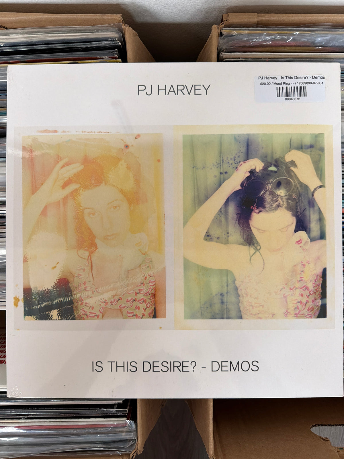 PJ Harvey - Is This Desire? - Demos