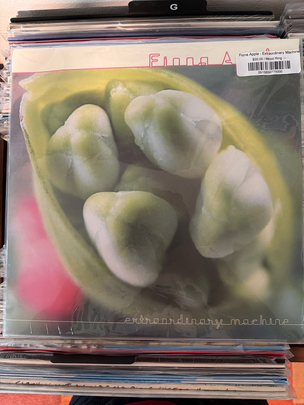 Fiona Apple - Extraordinary Machine