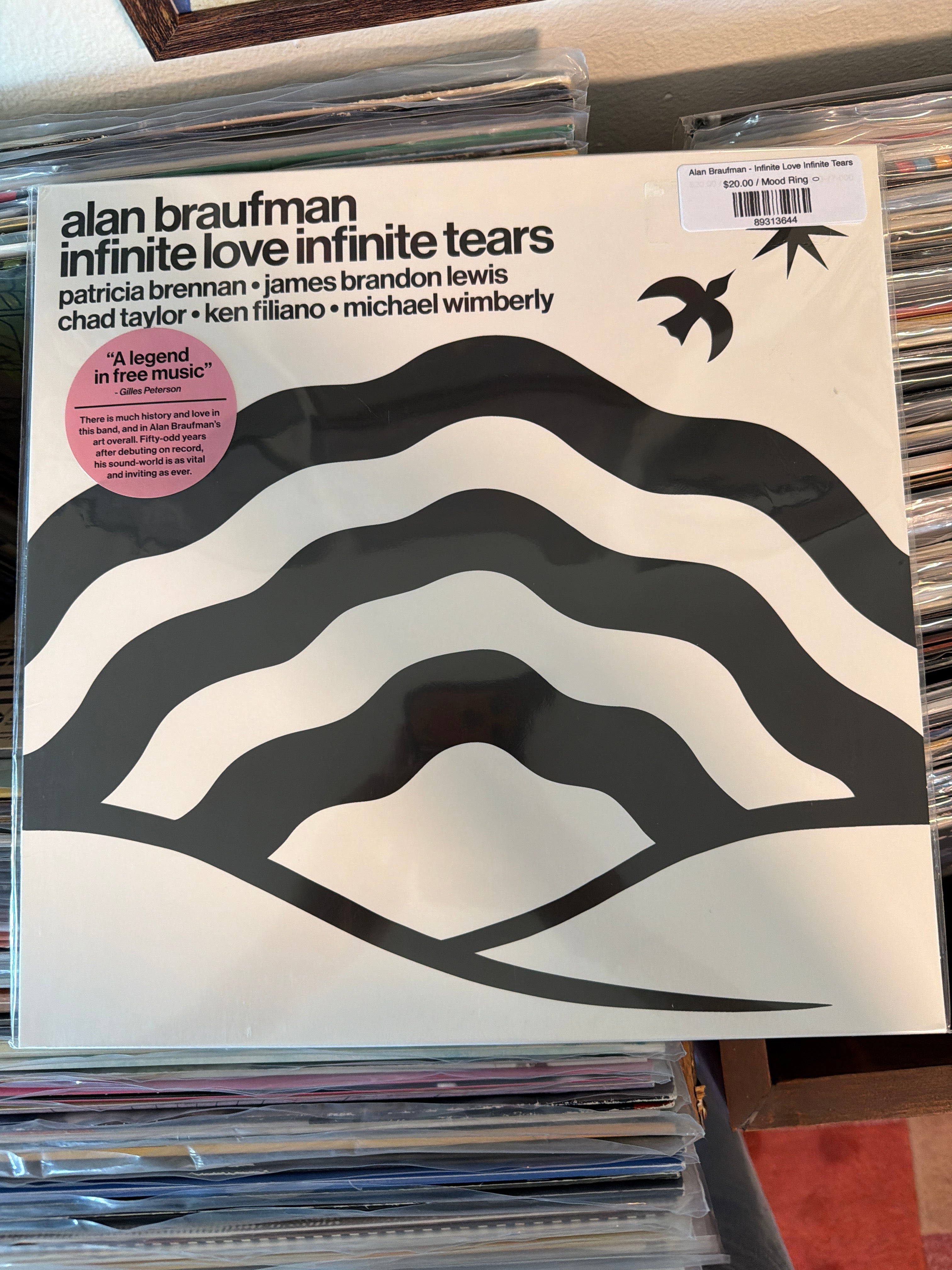 Alan Braufman - Infinite Love Infinite Tears