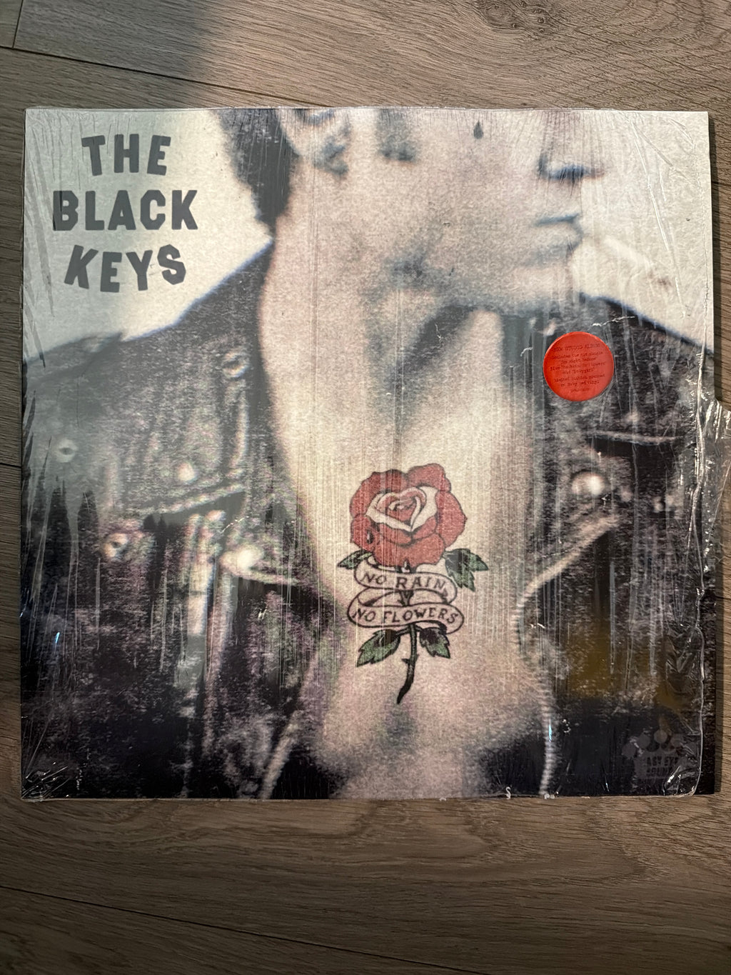 The Black Keys - No Rain, No Flowers