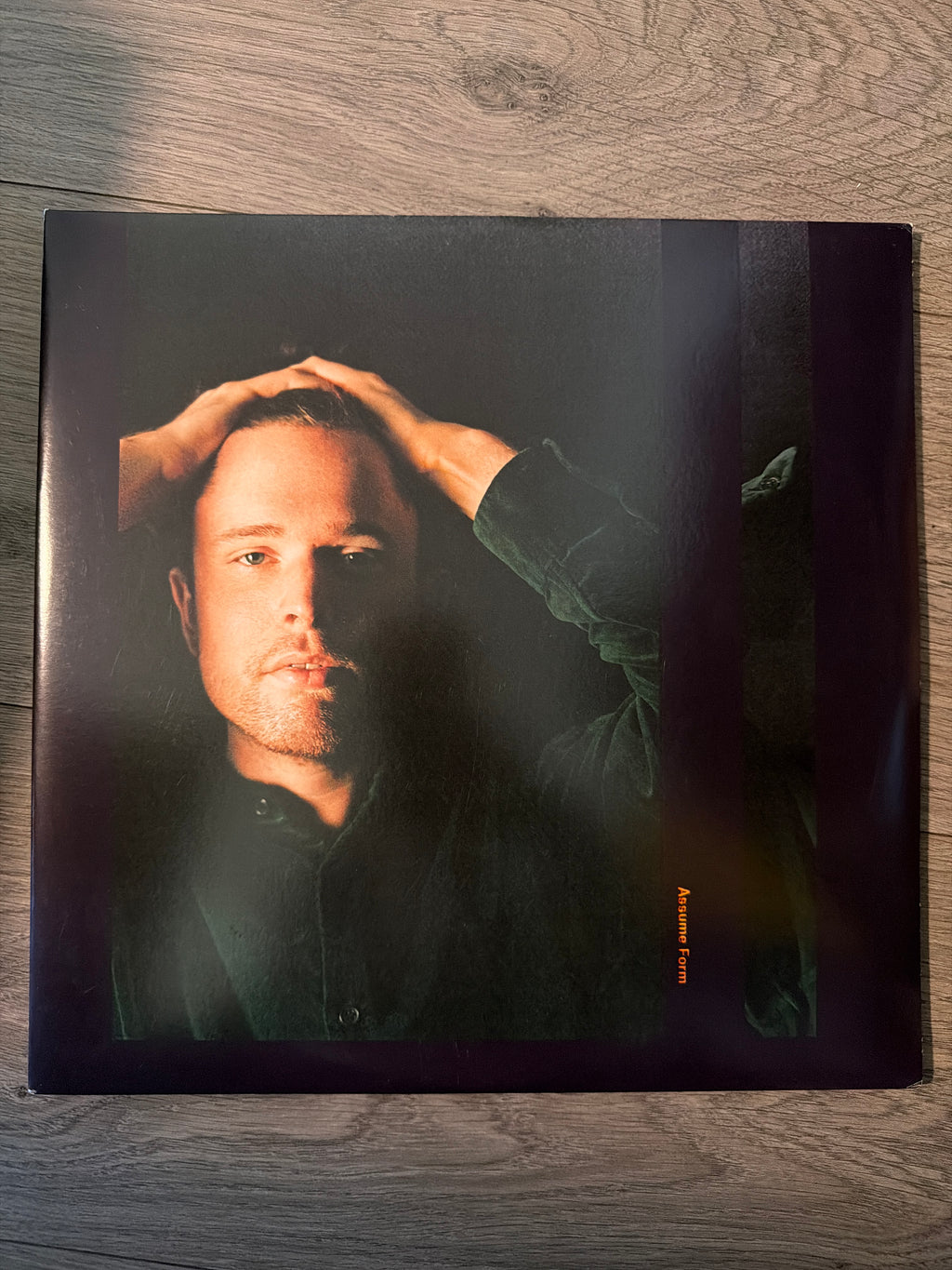 James Blake - Assume Form