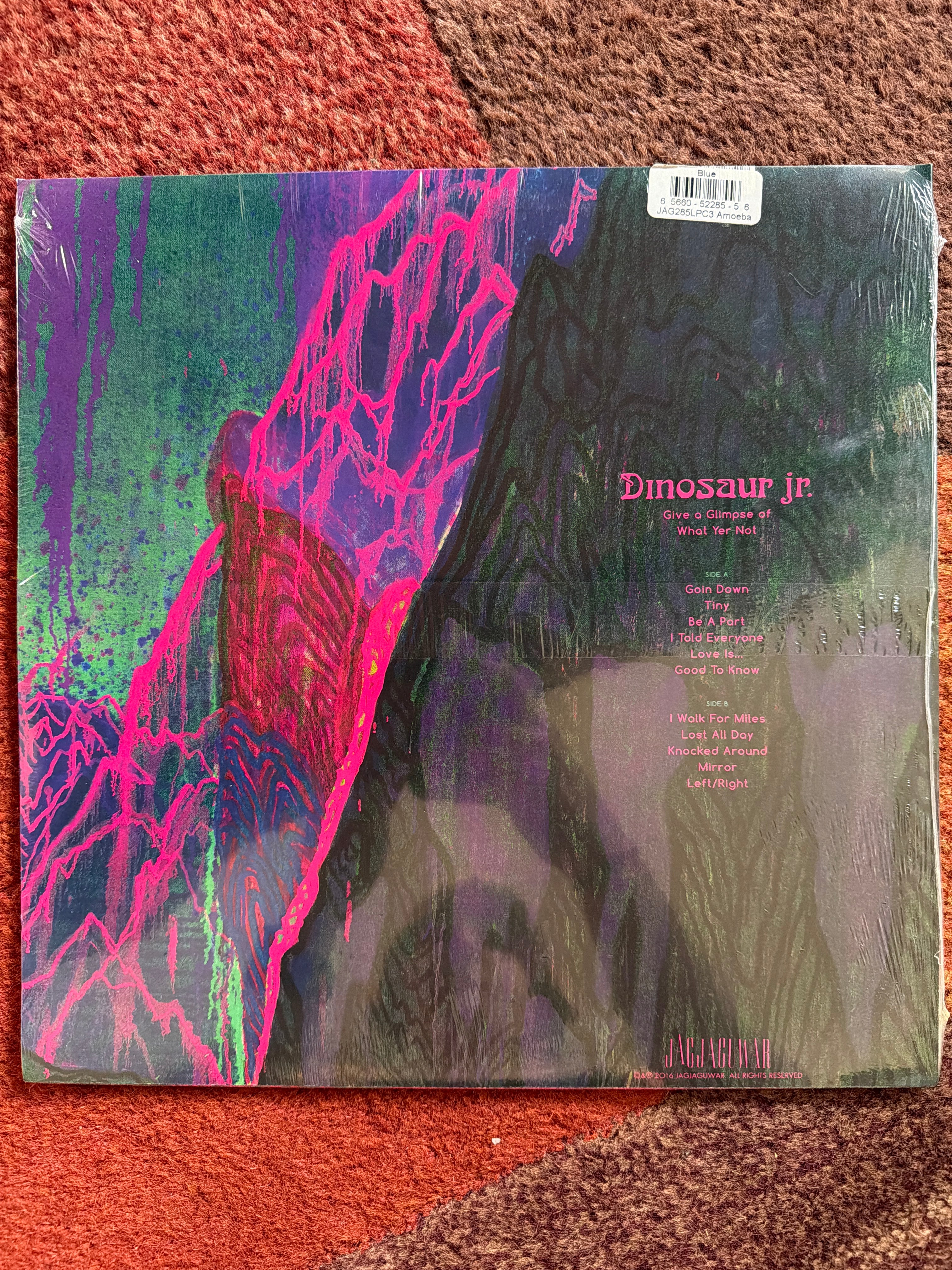 Dinosaur Jr. - Give A Glimpse Of What Yer Not