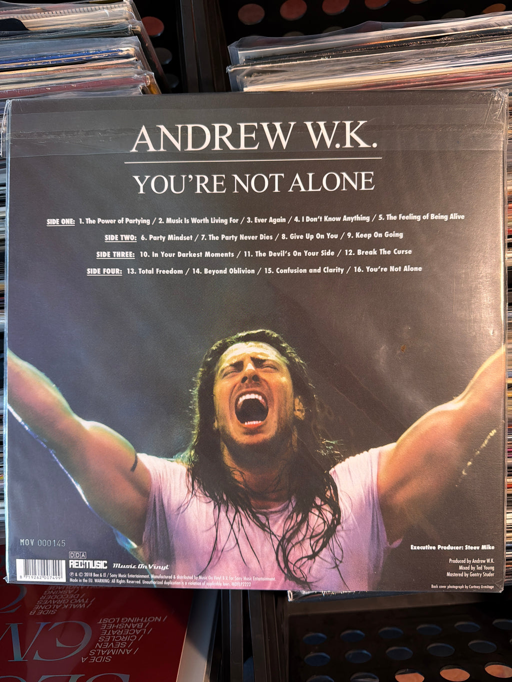 Andrew W.K. - You're Not Alone
