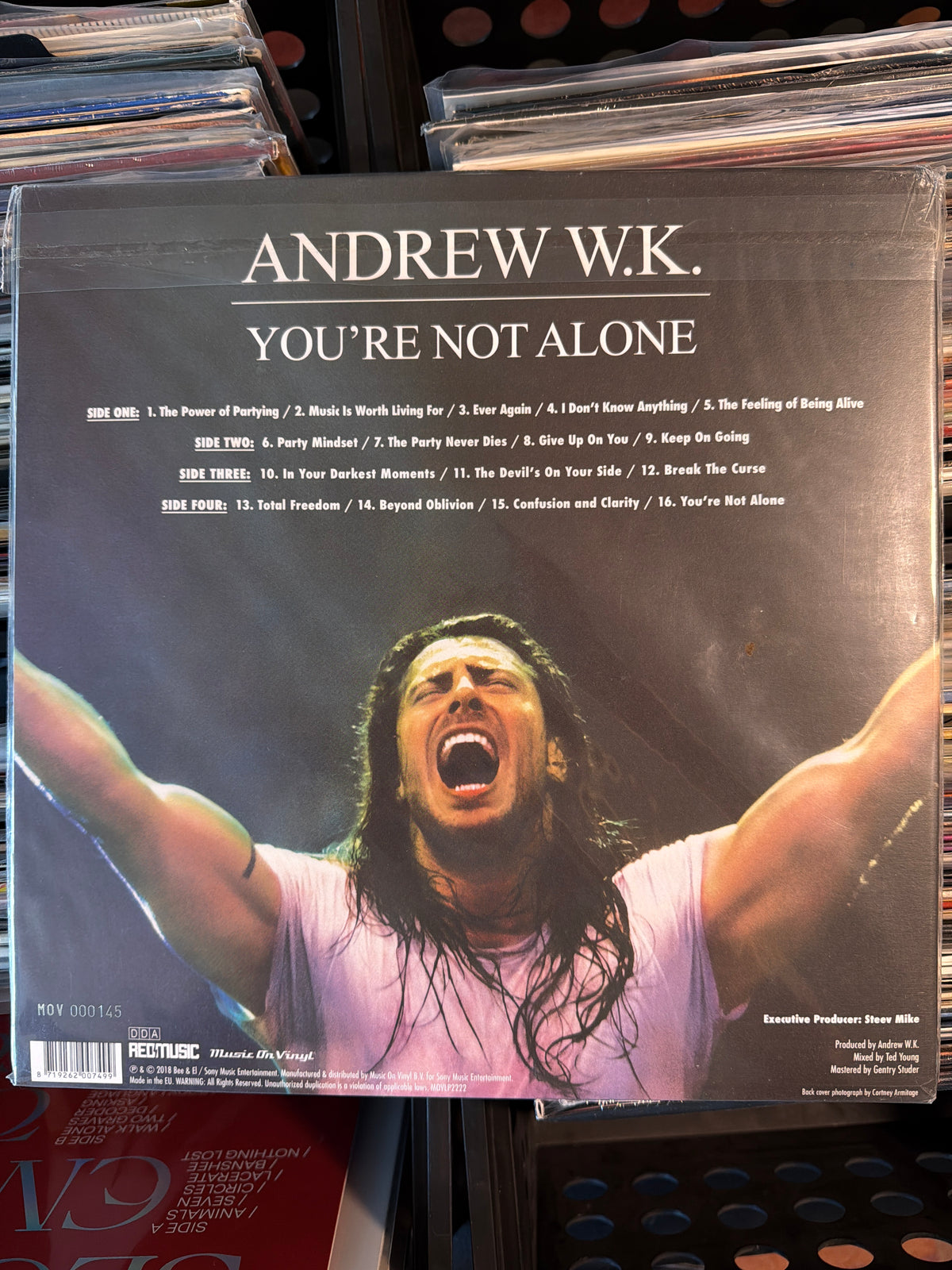 Andrew W.K. - You're Not Alone