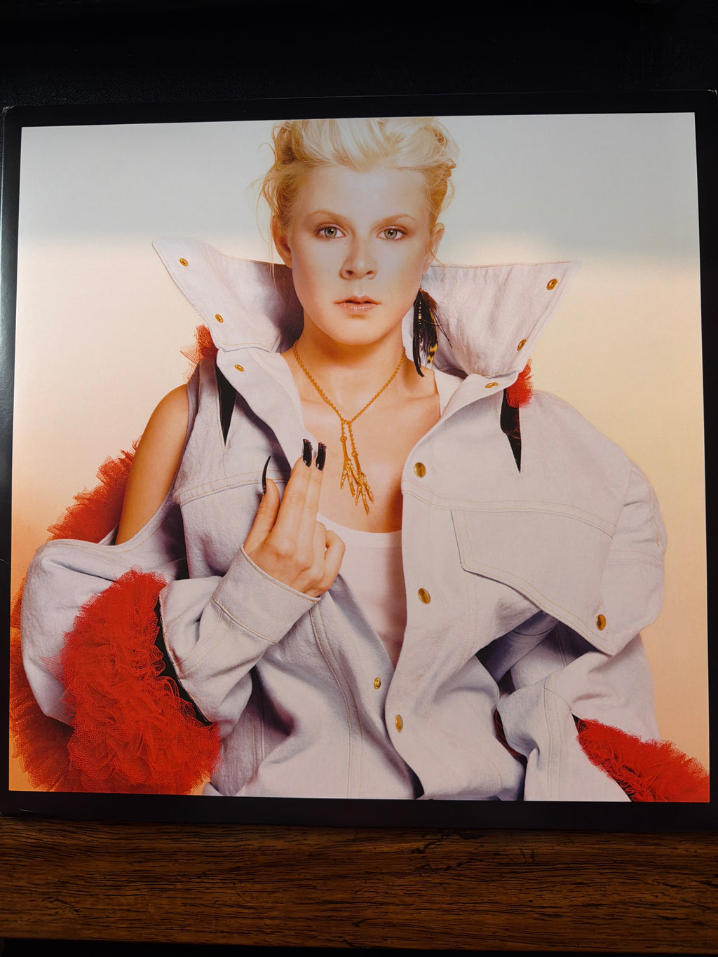 Robyn - Robyn