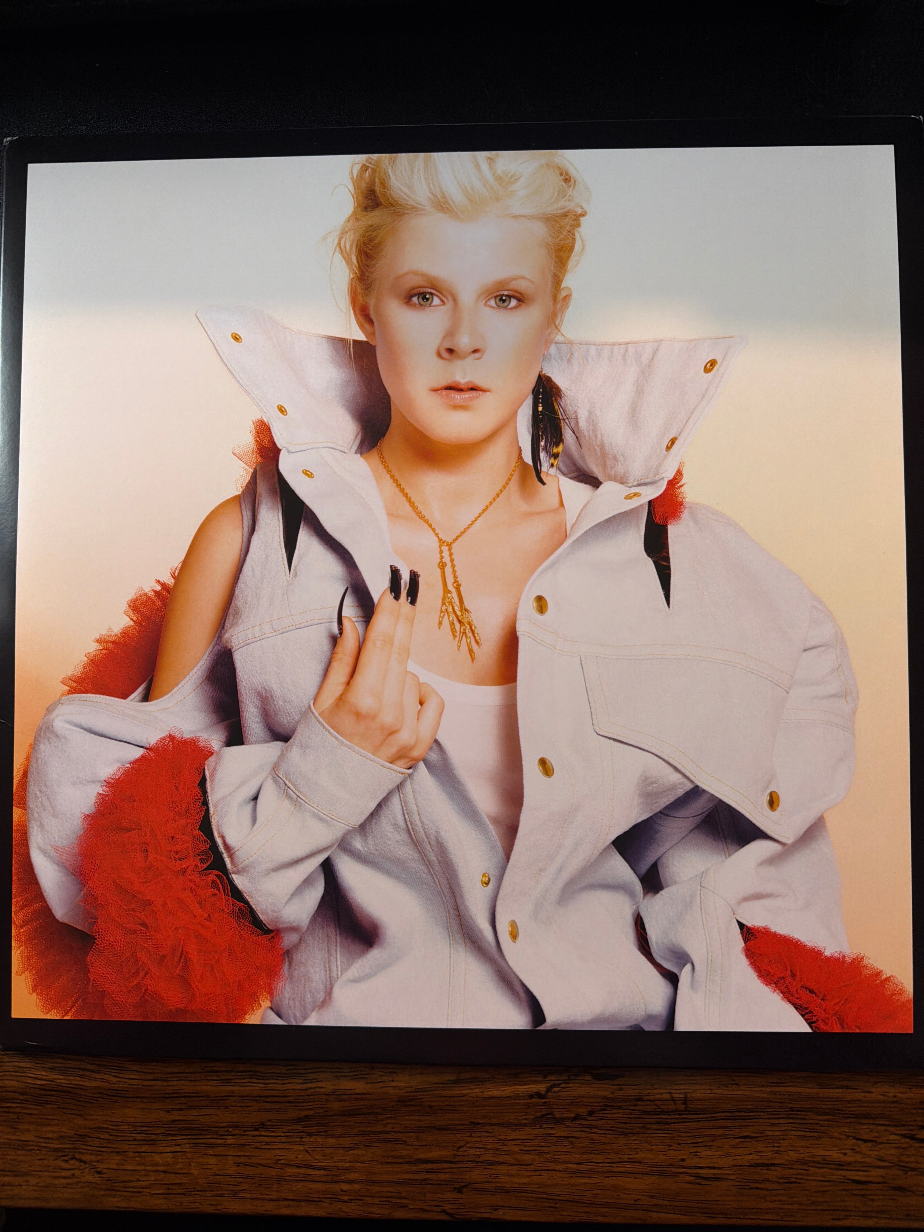 Robyn - Robyn