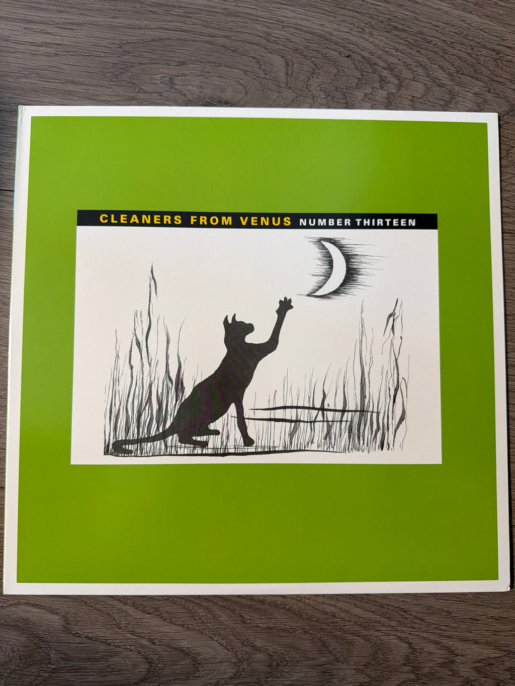 Cleaners From Venus - Number Thirteen