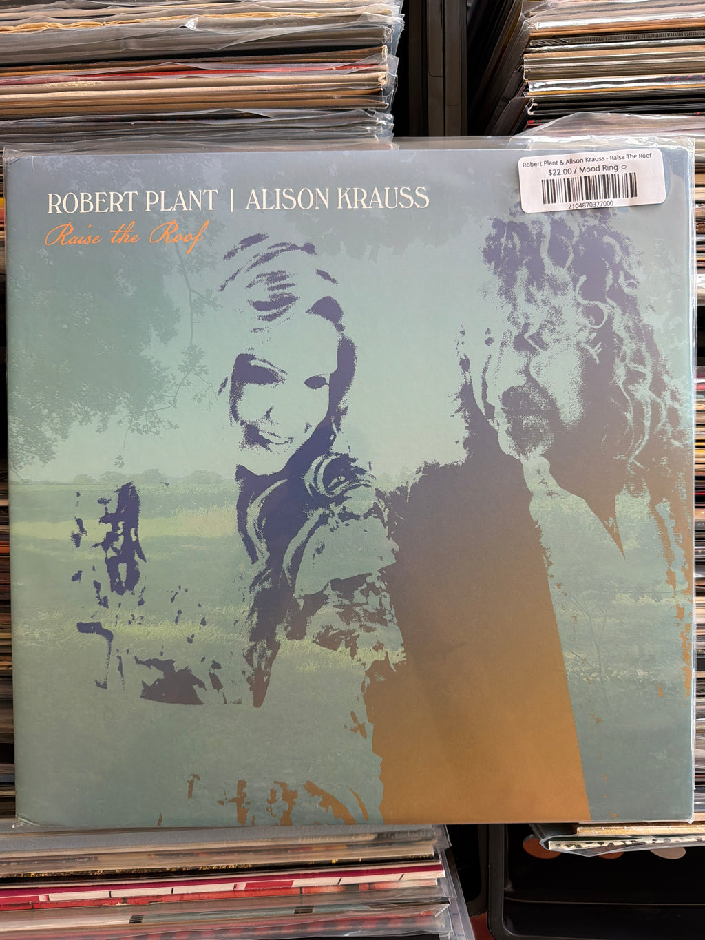 Robert Plant & Alison Krauss - Raise The Roof