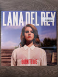 Lana Del Rey - Born To Die