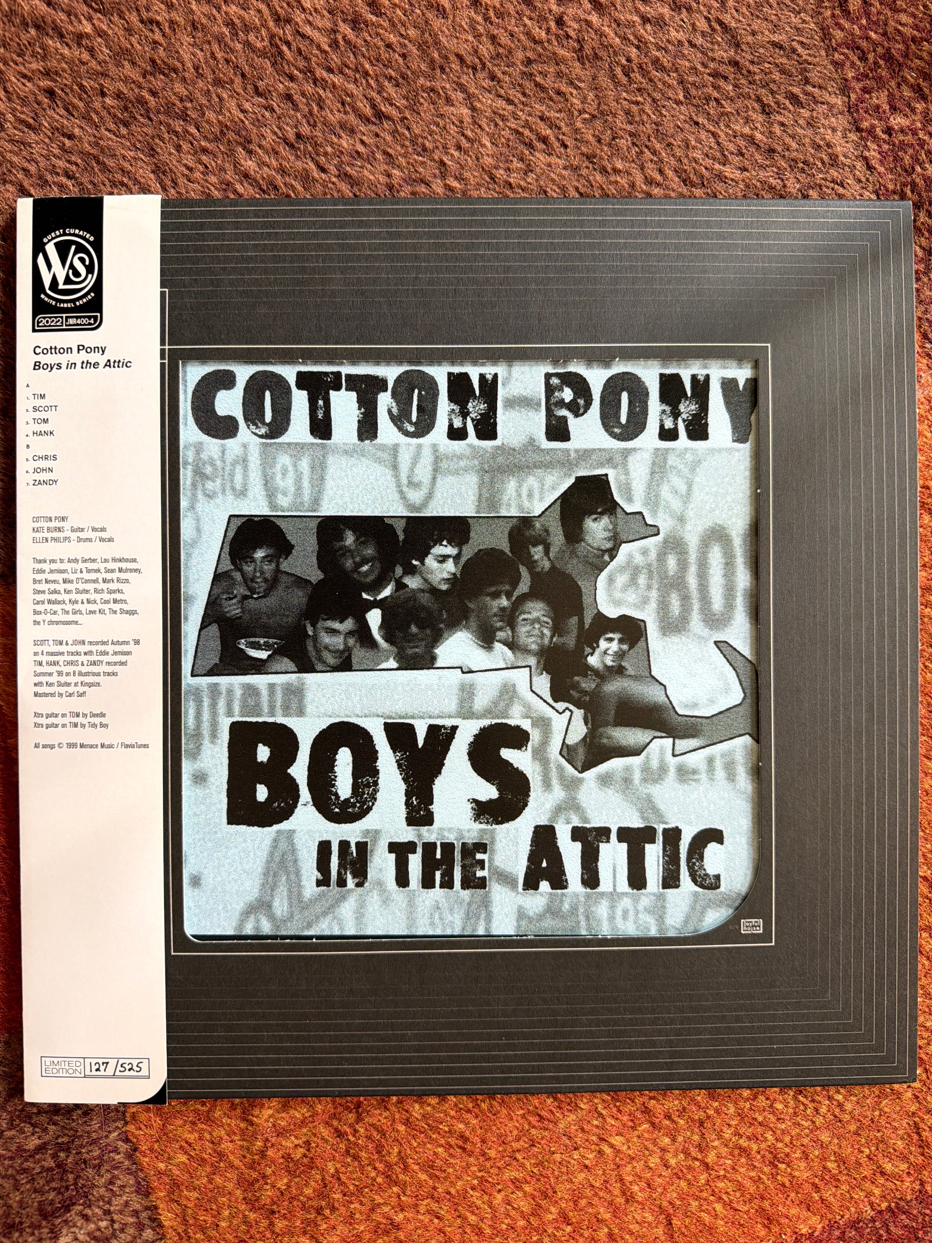 Cotton Pony - Boys in the Attic