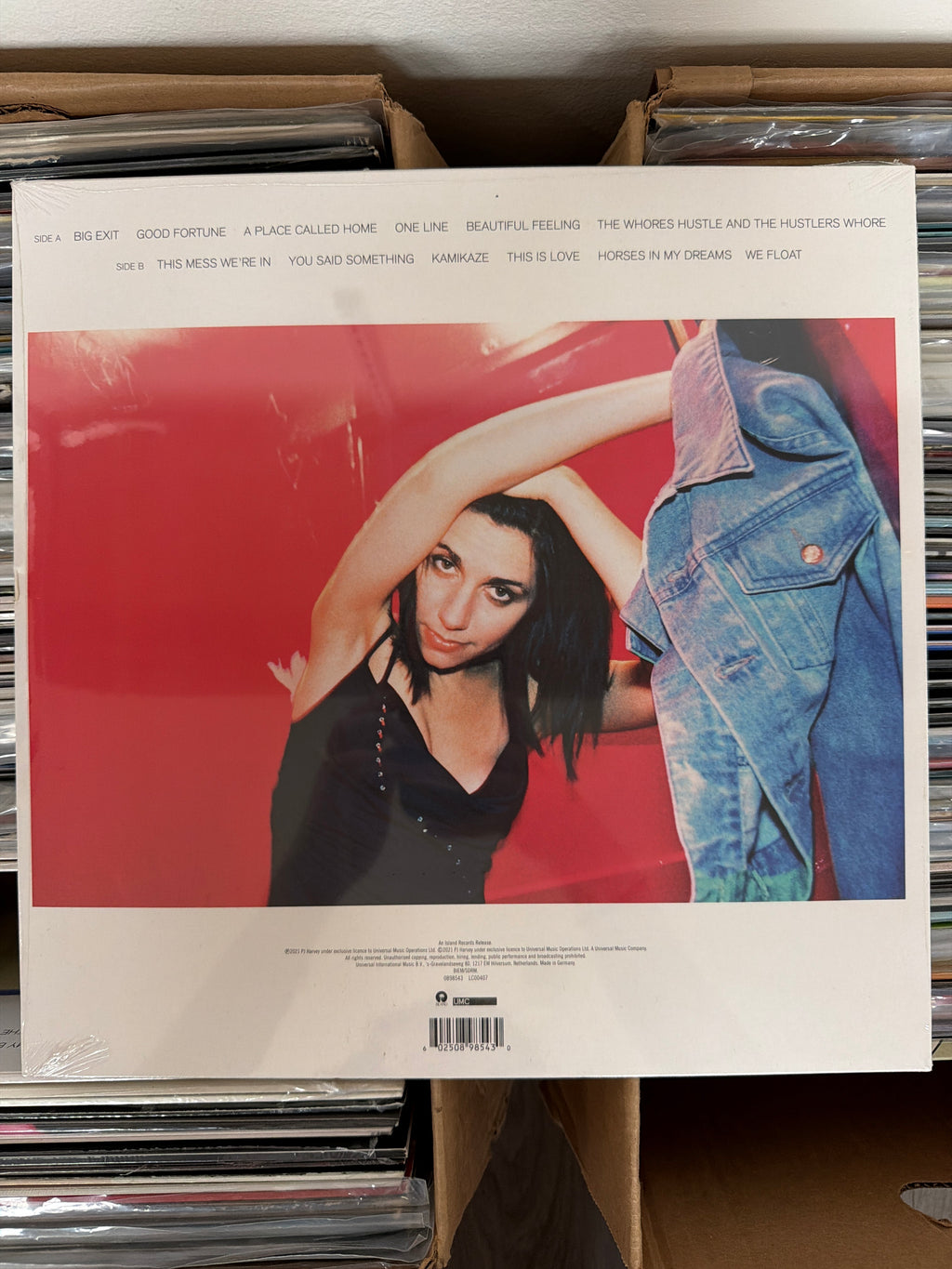 PJ Harvey - Stories From The City, Stories From The Sea - Demos