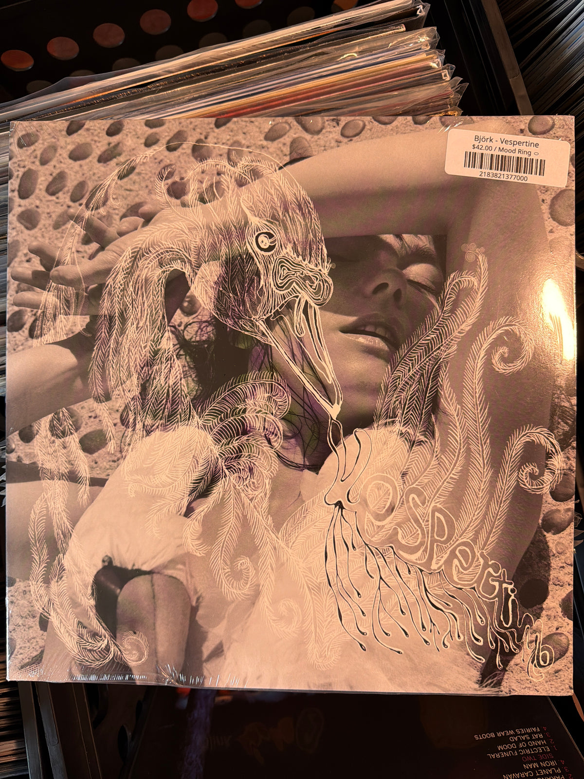 Björk - Vespertine