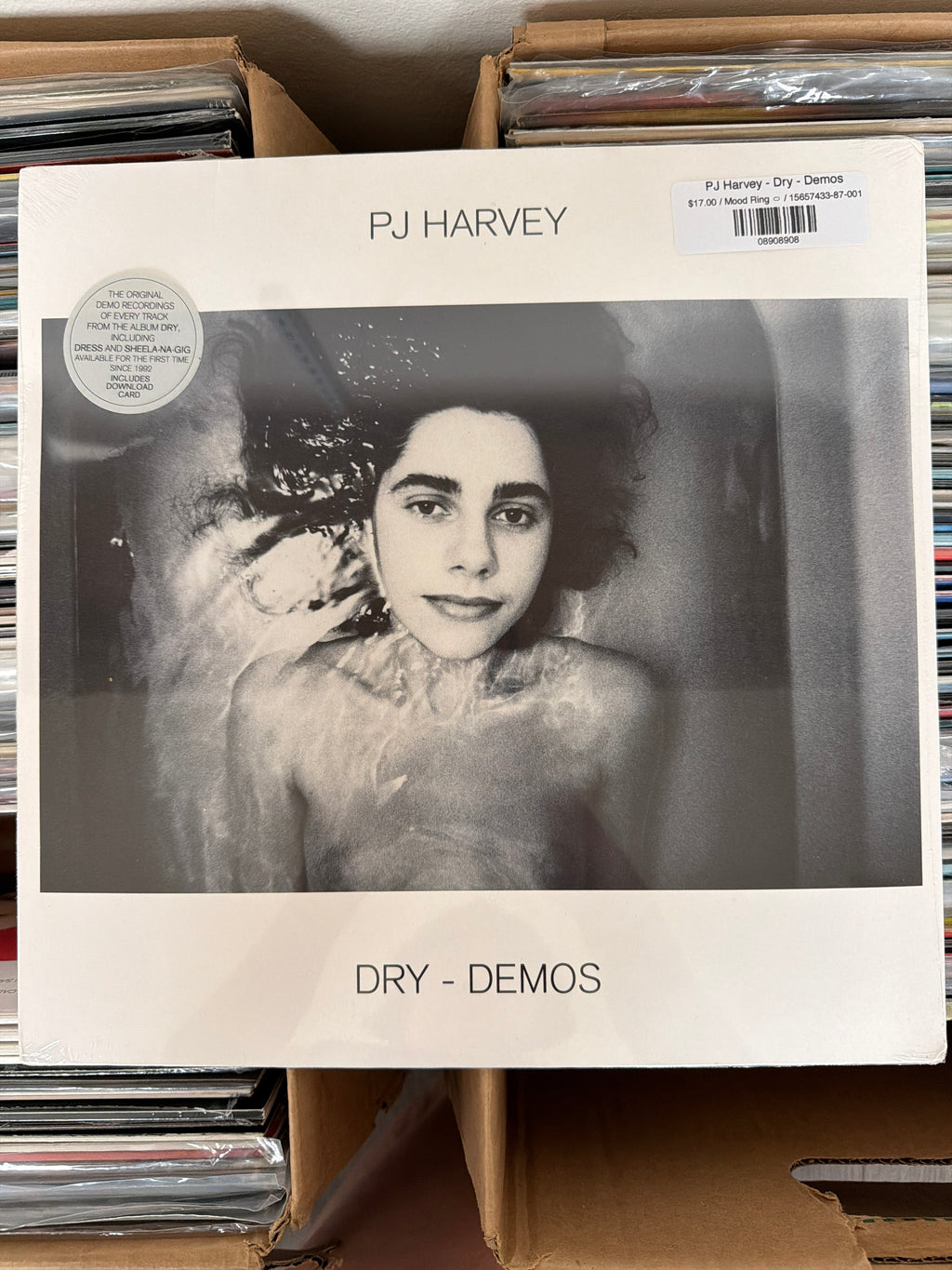 PJ Harvey - Dry - Demos