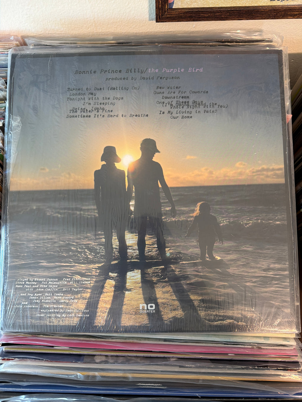 Bonnie "Prince" Billy - The Purple Bird