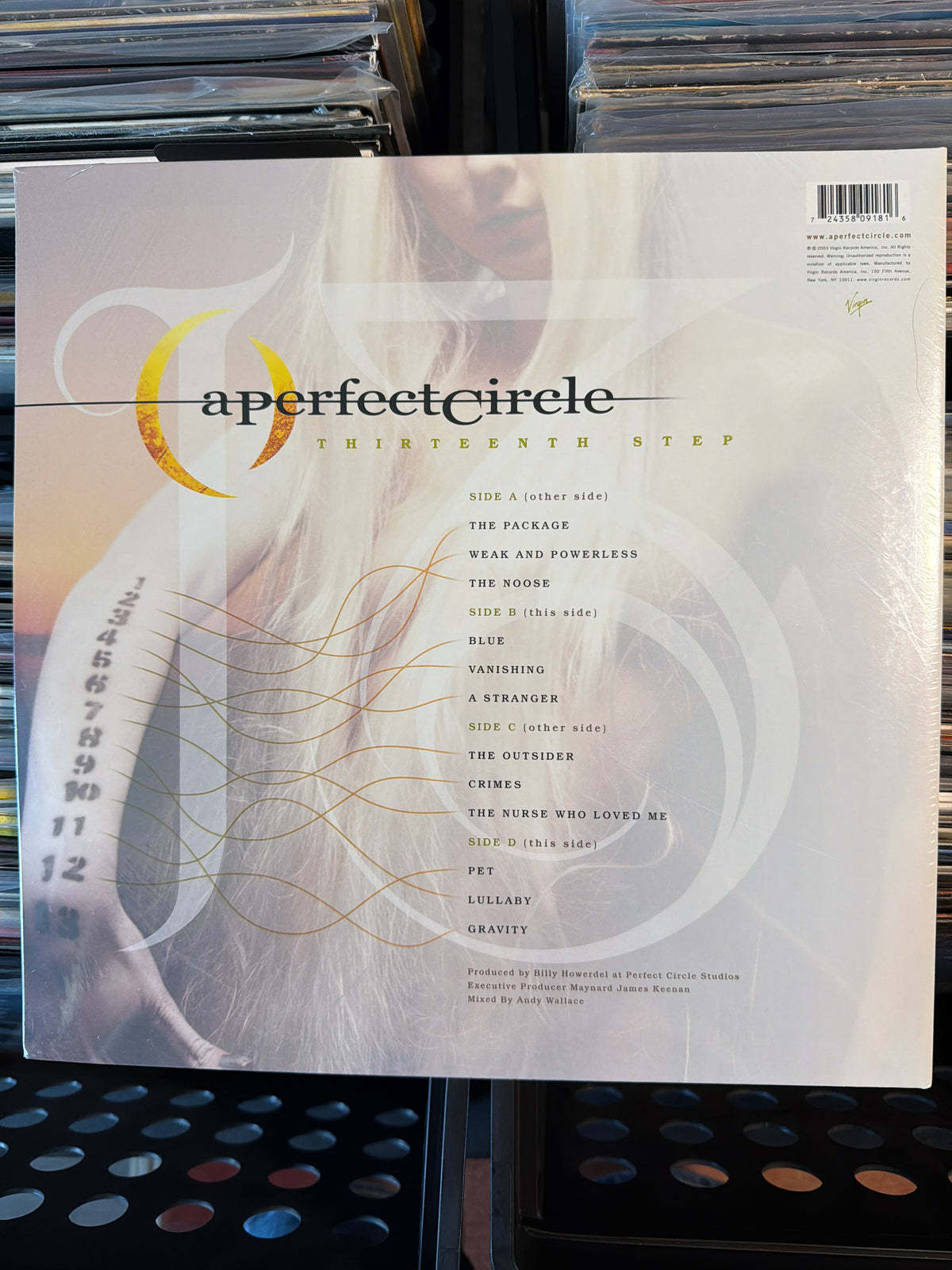 A Perfect Circle - Thirteenth Step
