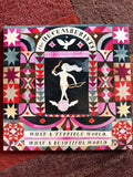 The Decemberists - What A Terrible World, What A Beautiful World