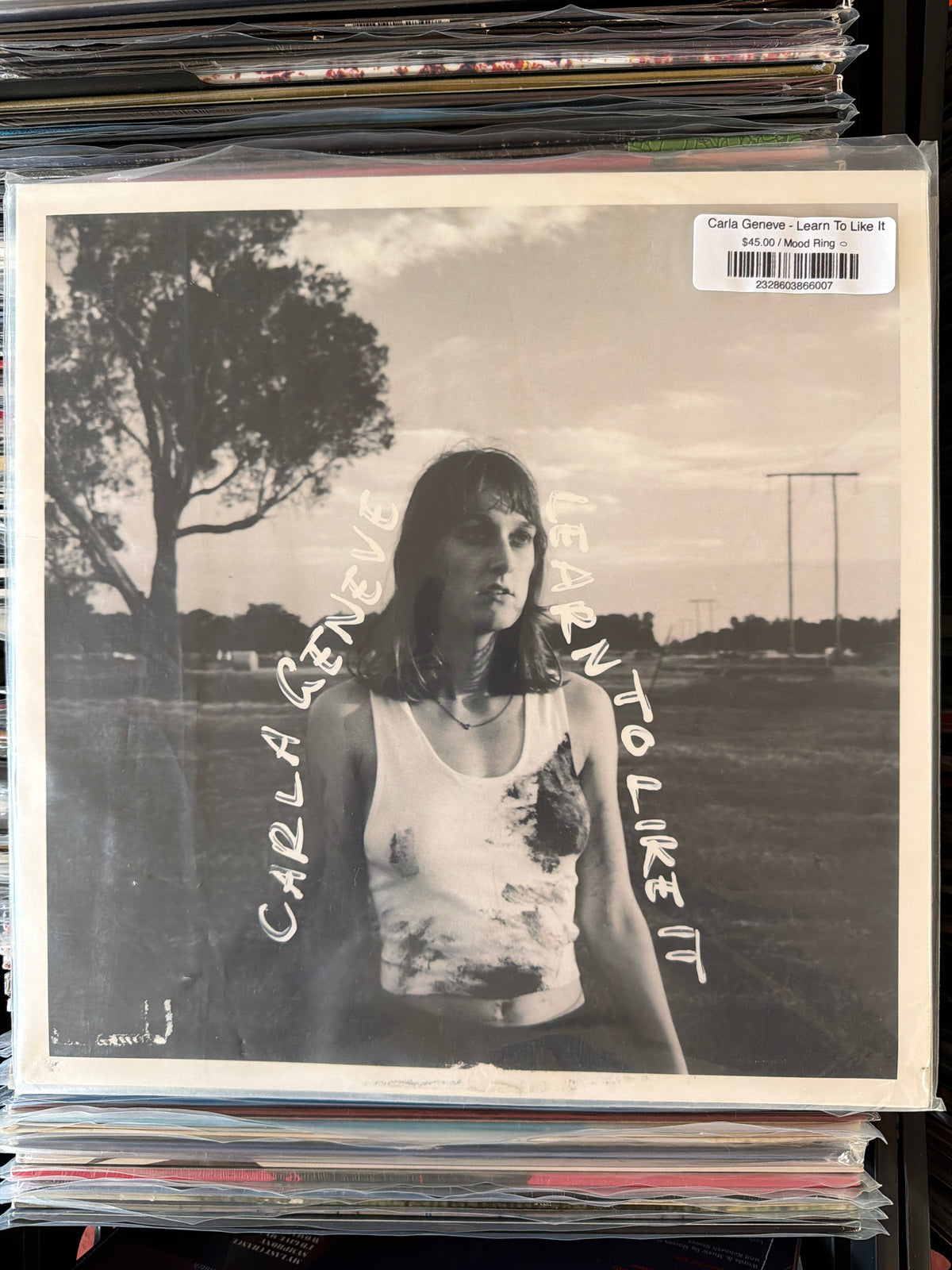 Carla Geneve - Learn To Like It