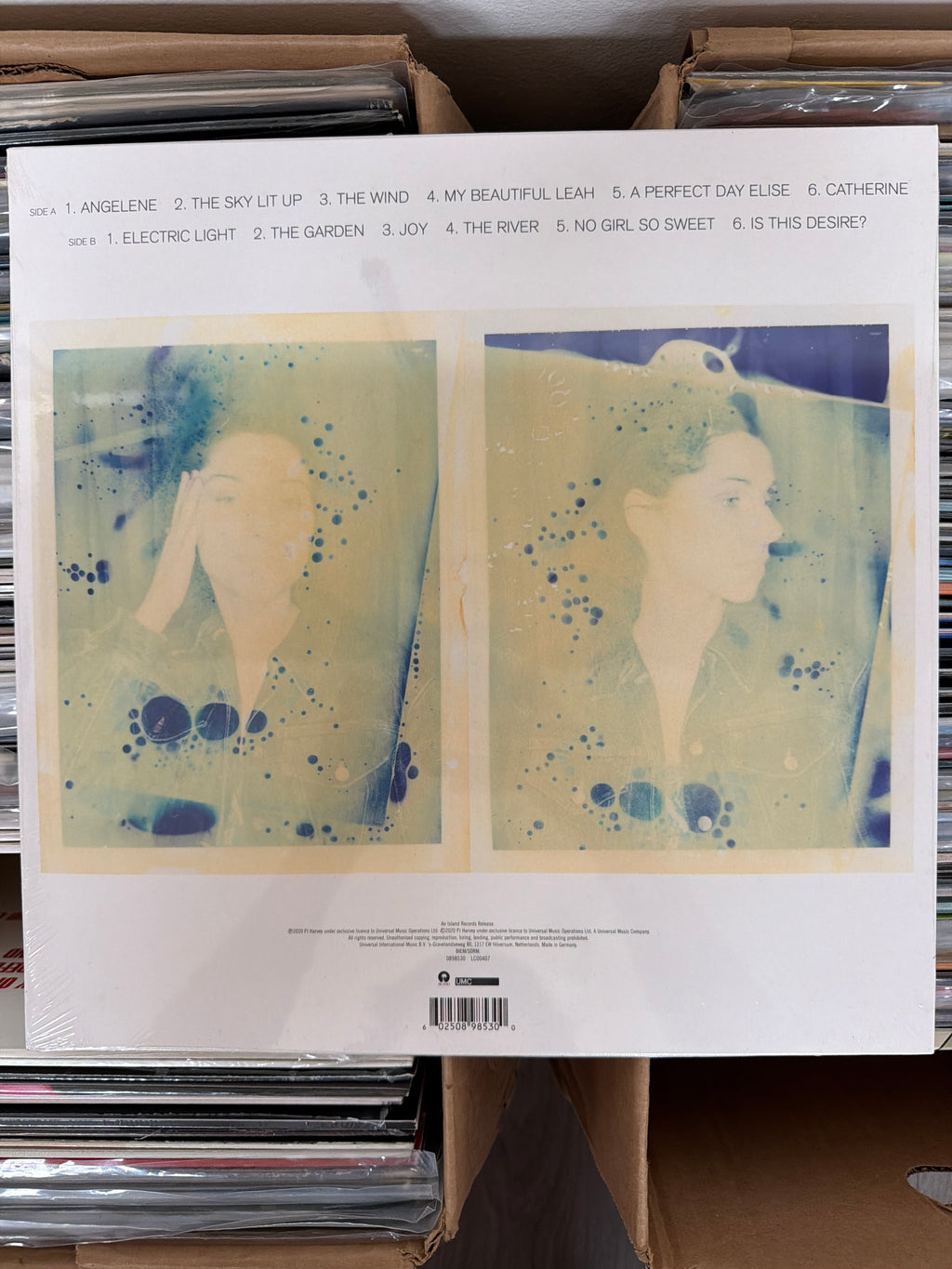 PJ Harvey - Is This Desire? - Demos