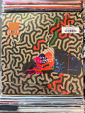 Animal Collective - Tangerine Reef