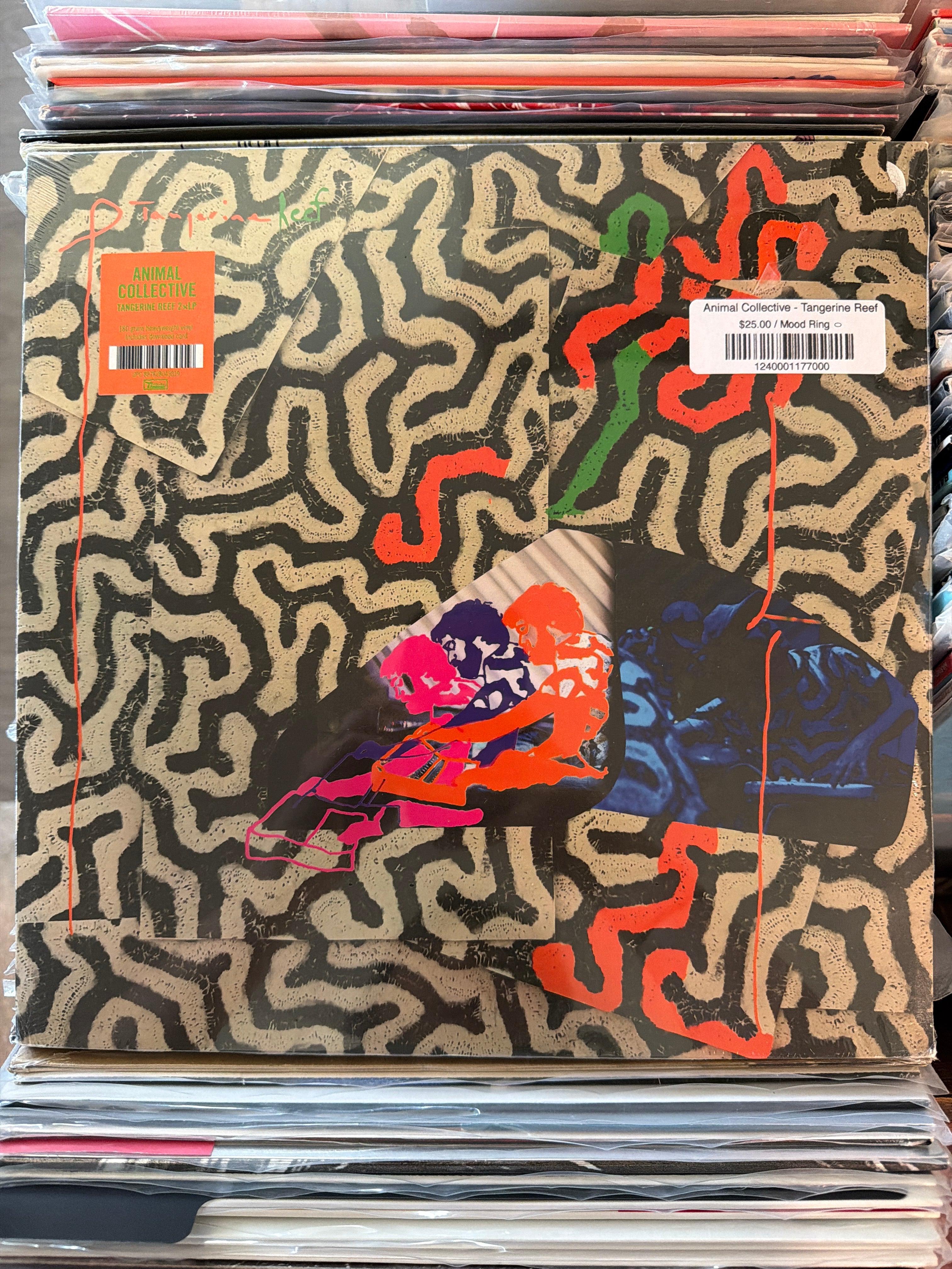 Animal Collective - Tangerine Reef