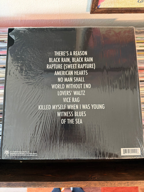 A.A. Bondy - American Hearts