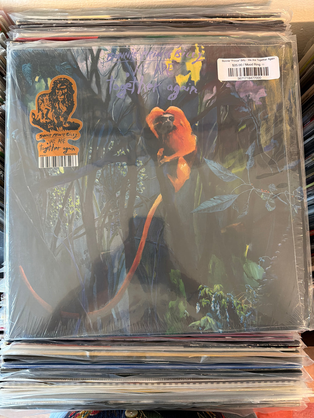 Bonnie "Prince" Billy - We Are Together Again