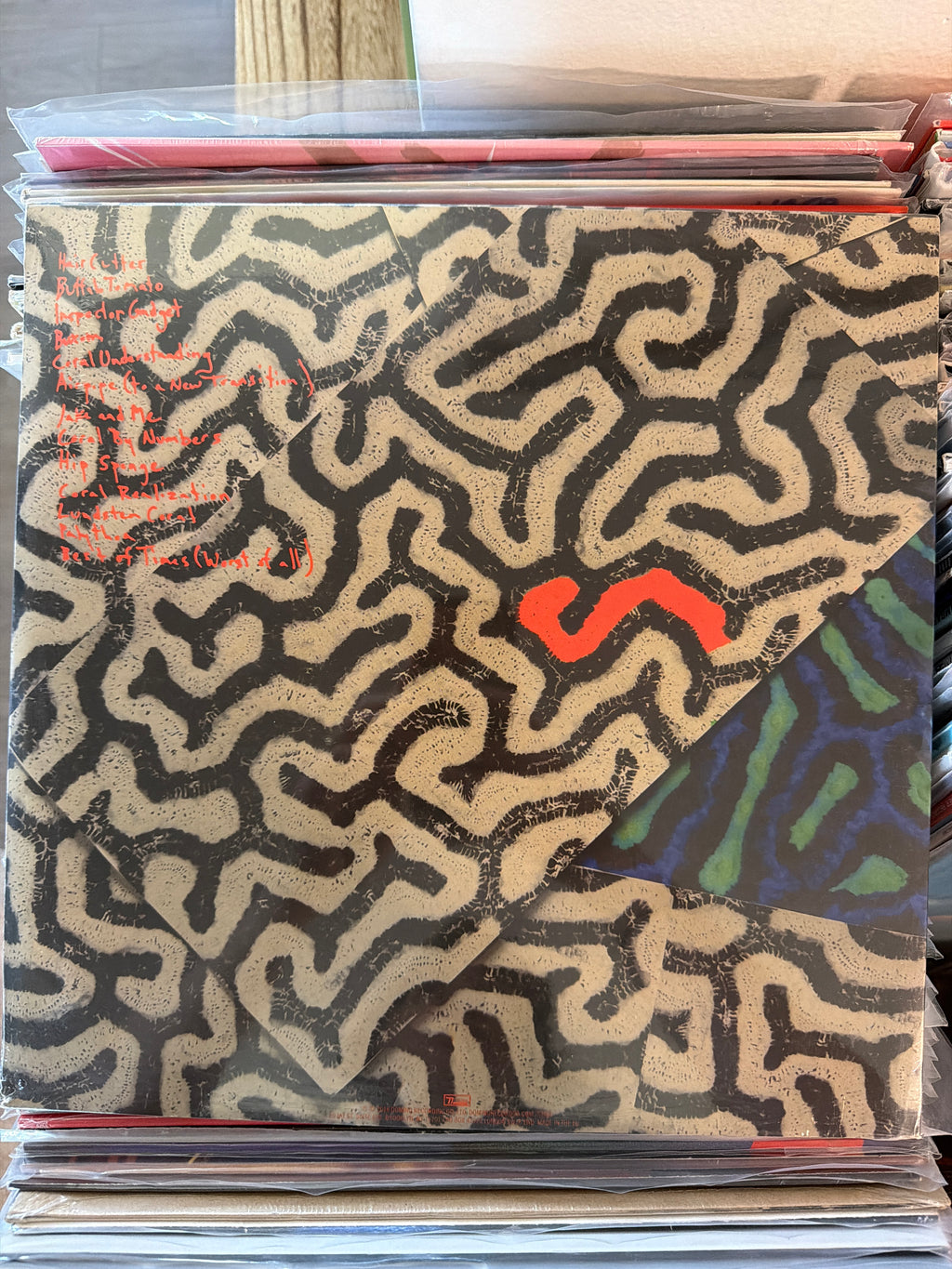 Animal Collective - Tangerine Reef