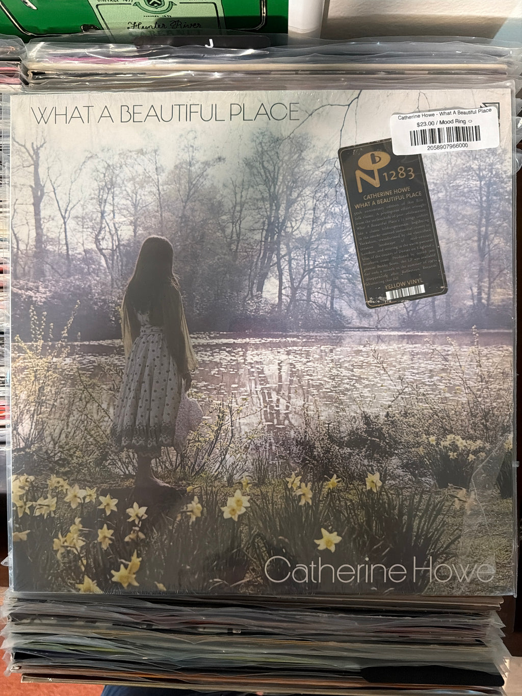 Catherine Howe - What A Beautiful Place