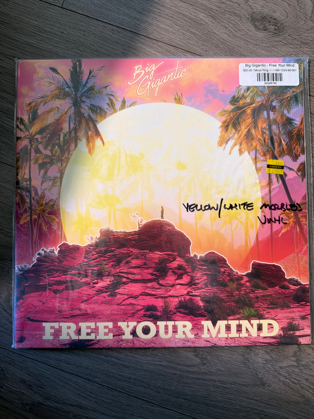 Big Gigantic - Free Your Mind