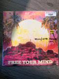 Big Gigantic - Free Your Mind