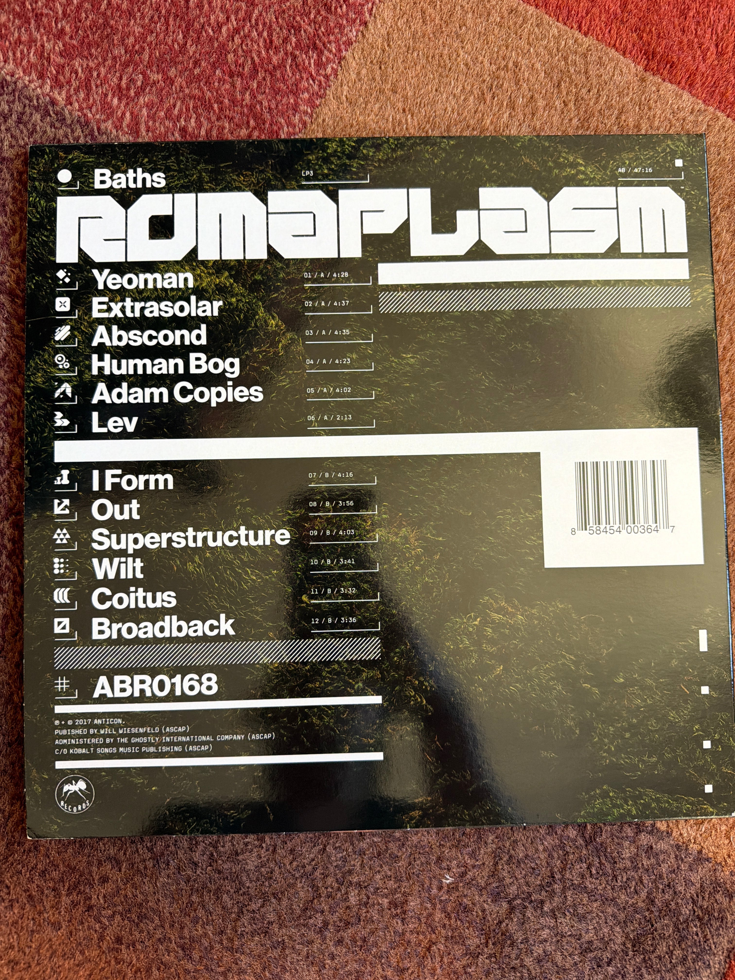Baths - Romaplasm