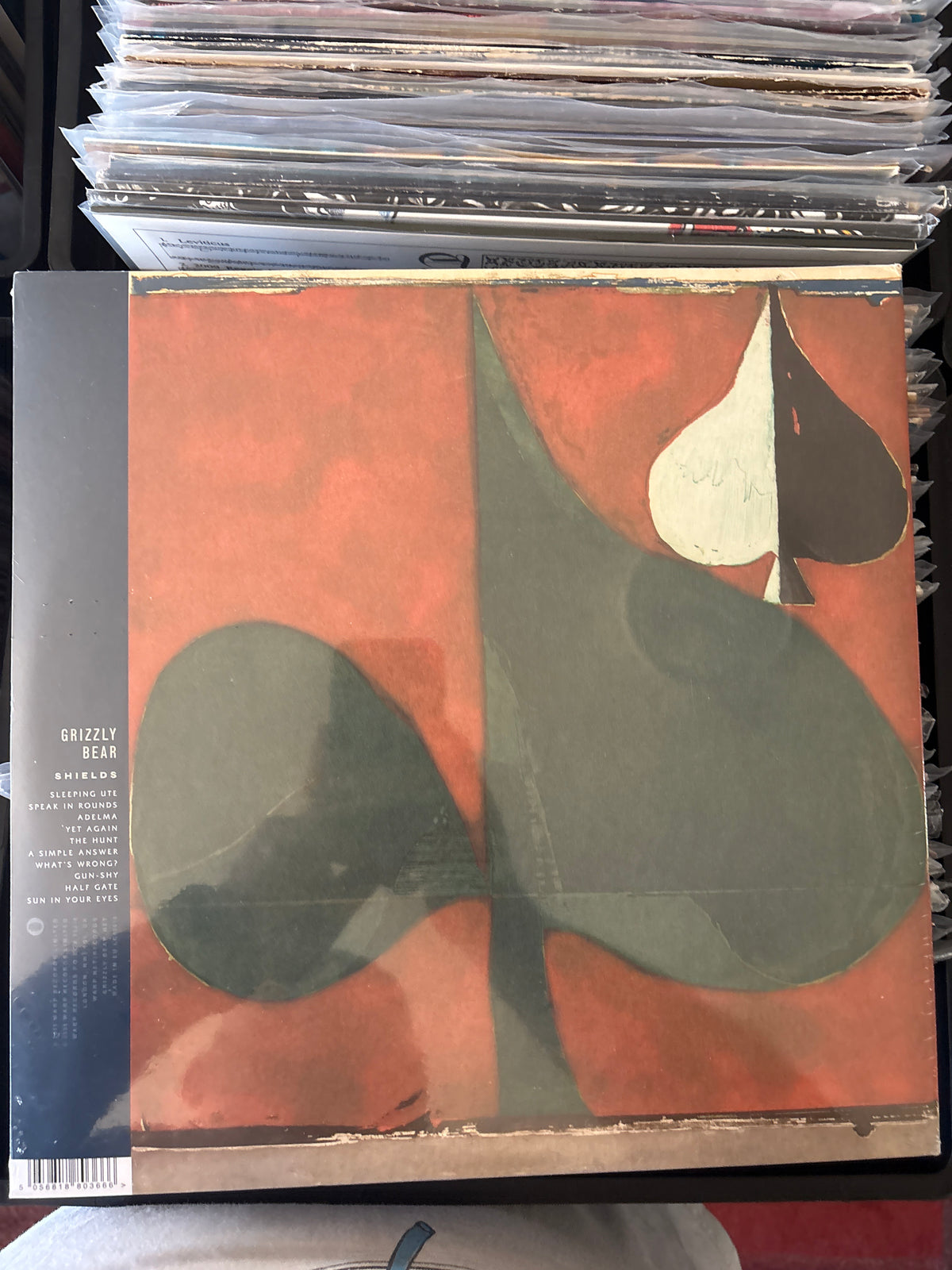 Grizzly Bear - Shields