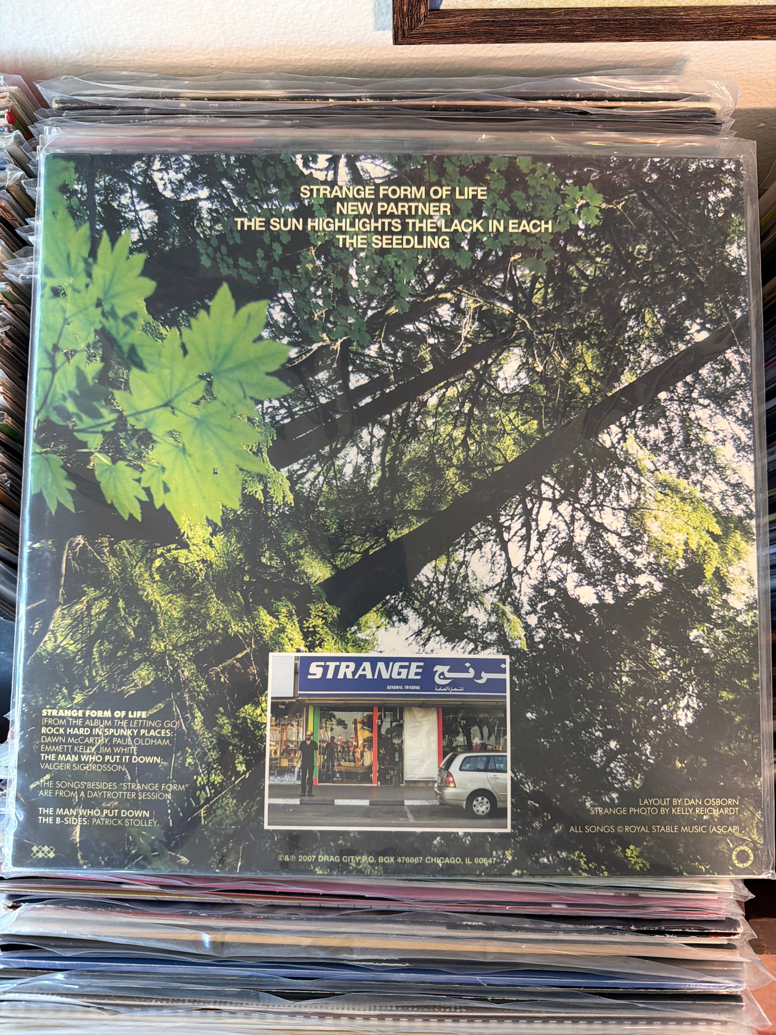 Bonnie "Prince" Billy - Strange Form Of Life