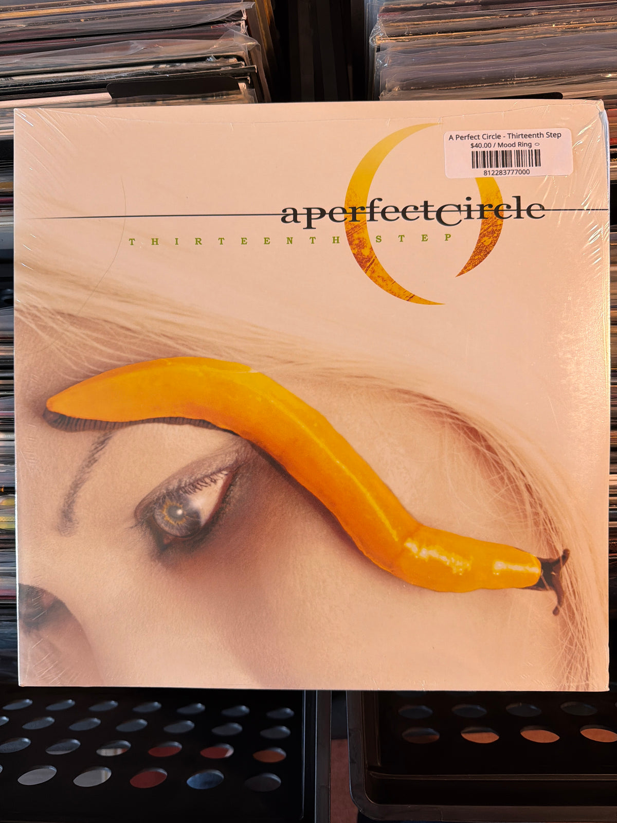 A Perfect Circle - Thirteenth Step