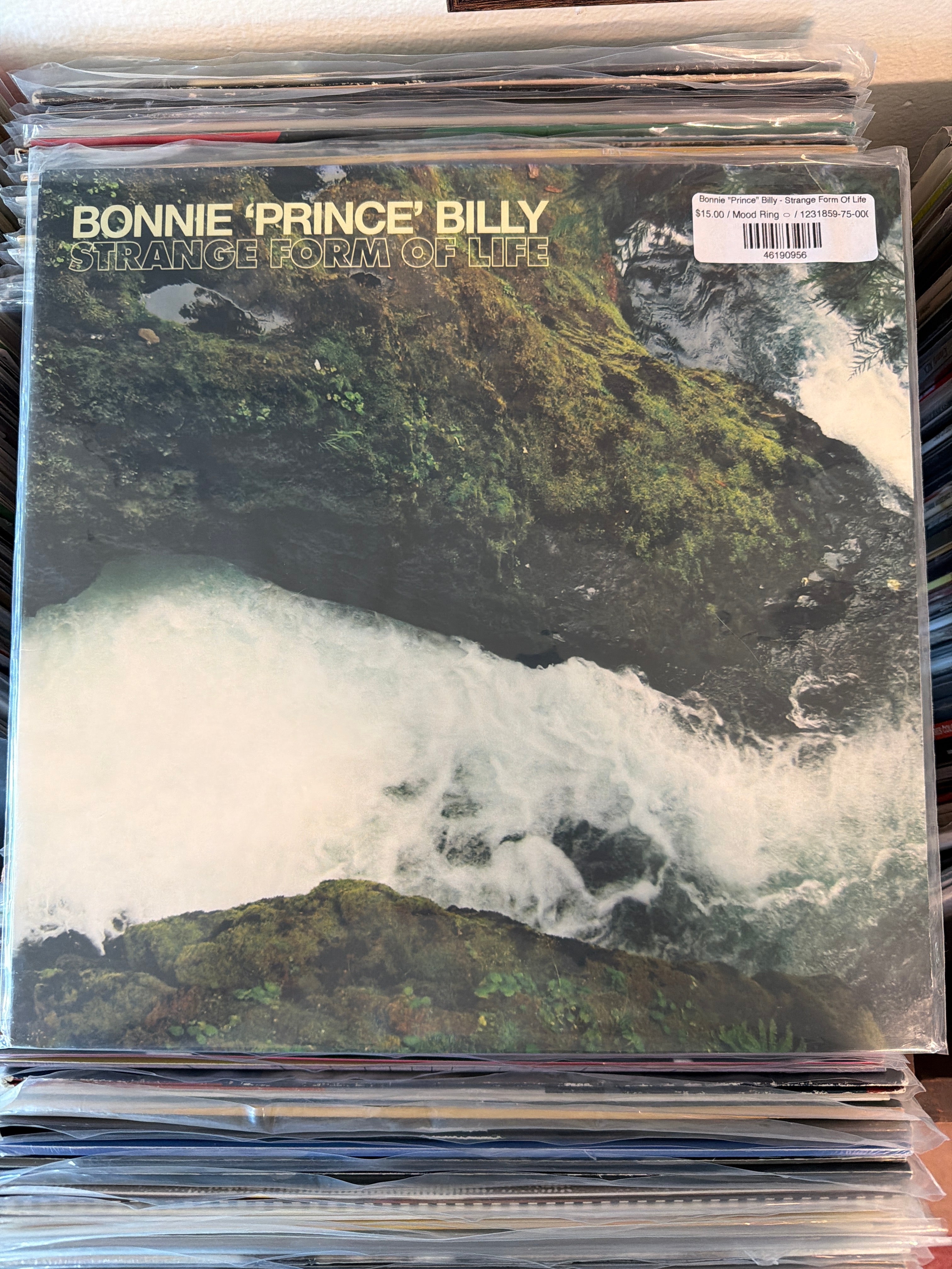 Bonnie "Prince" Billy - Strange Form Of Life