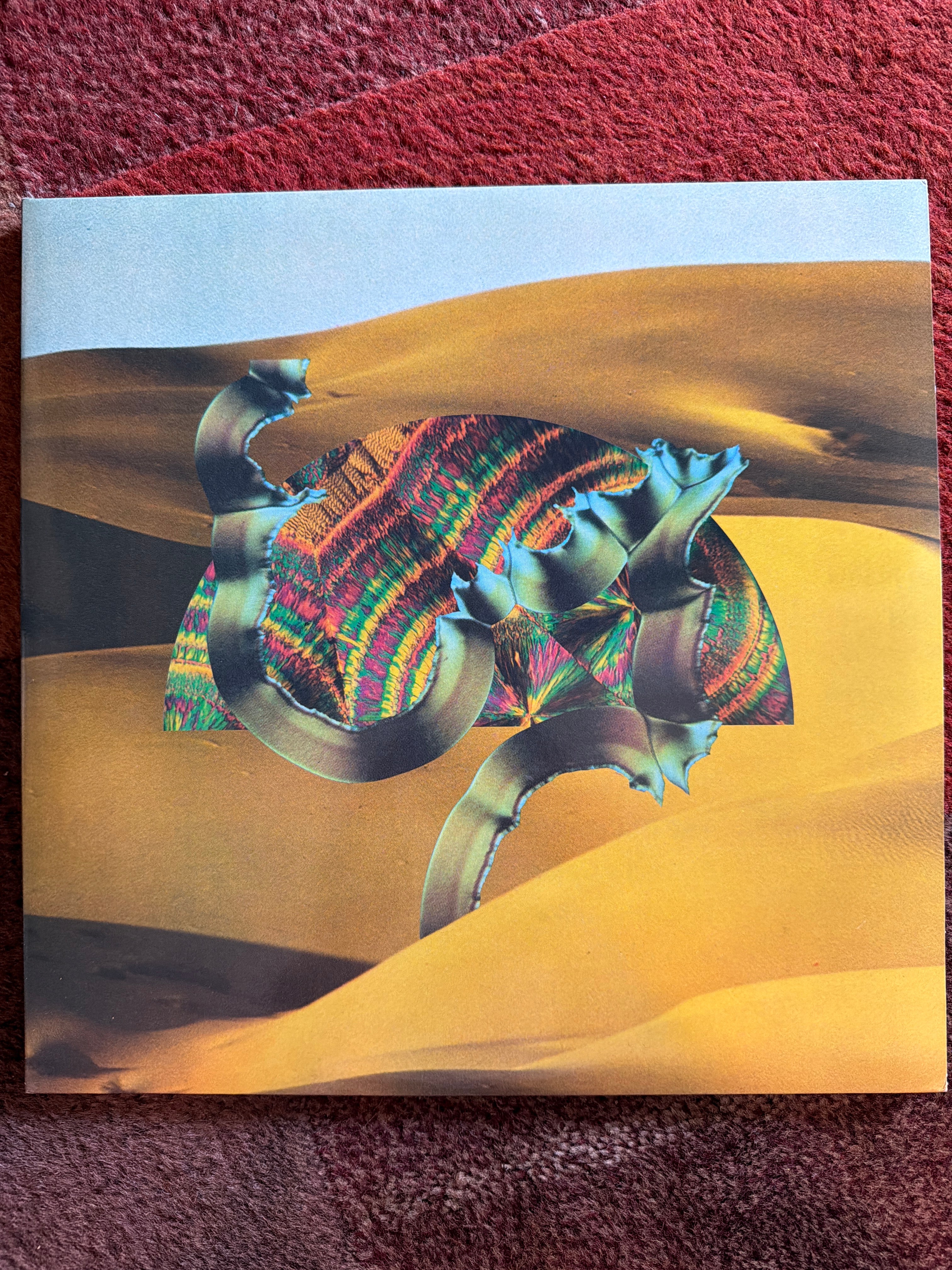 Django Django - Django Django
