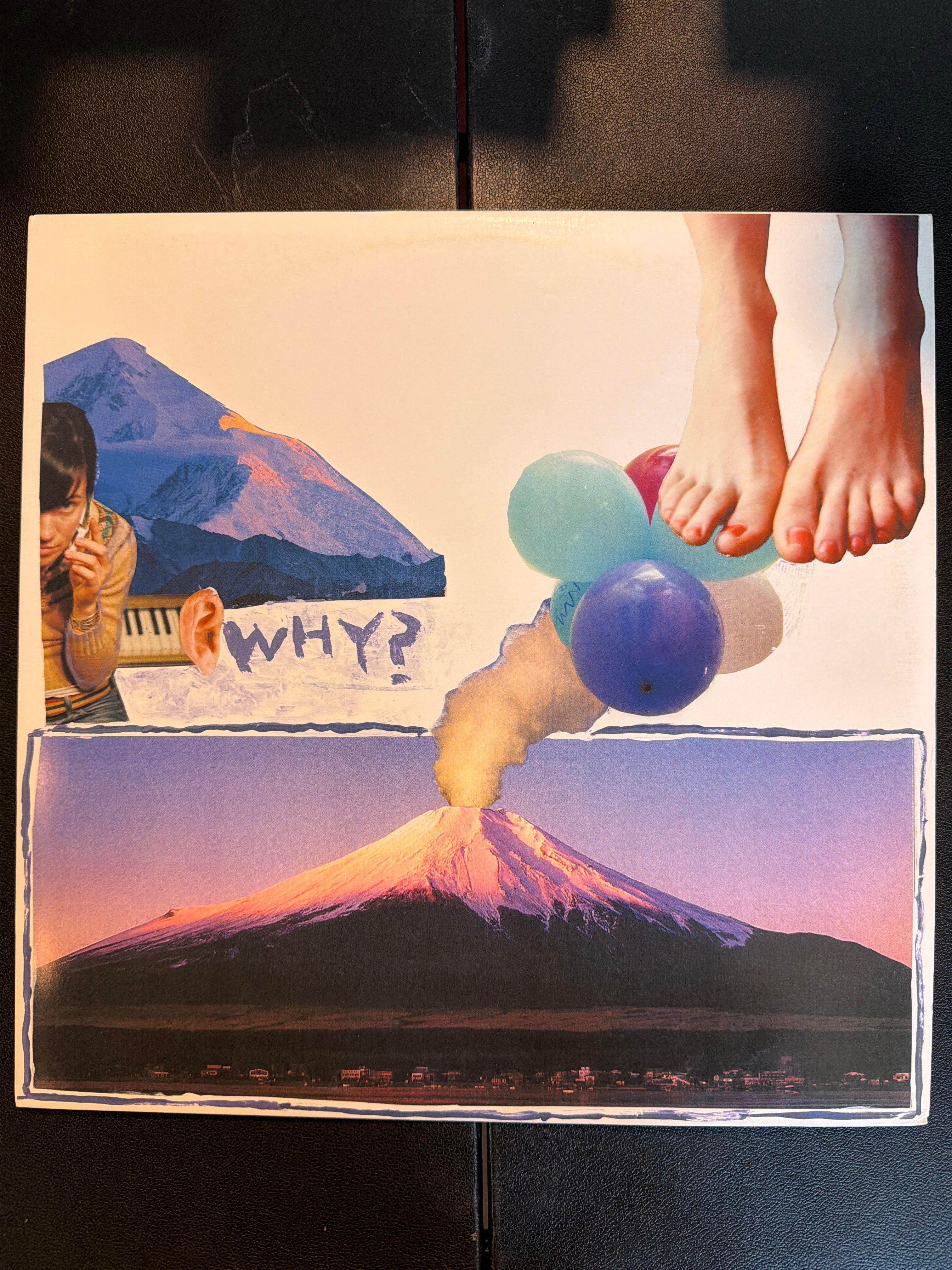 WHY? - Elephant Eyelash