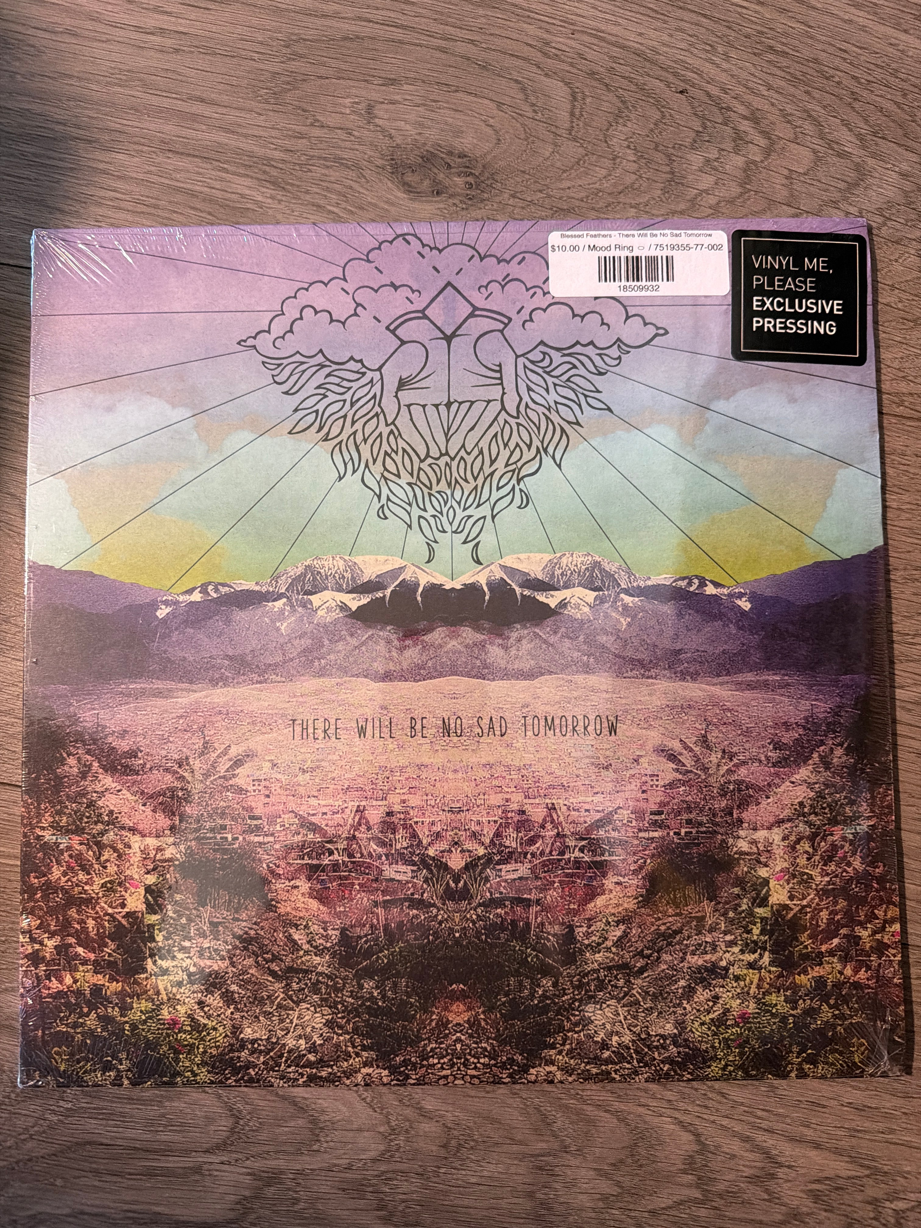 Blessed Feathers - There Will Be No Sad Tomorrow