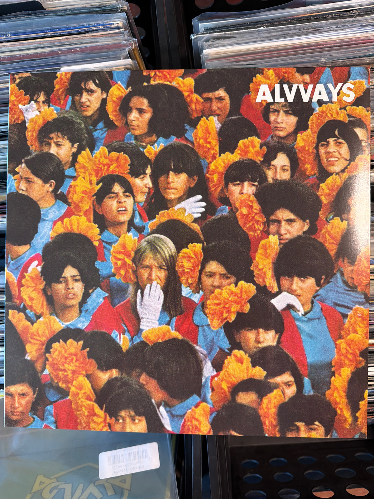 Alvvays - Alvvays