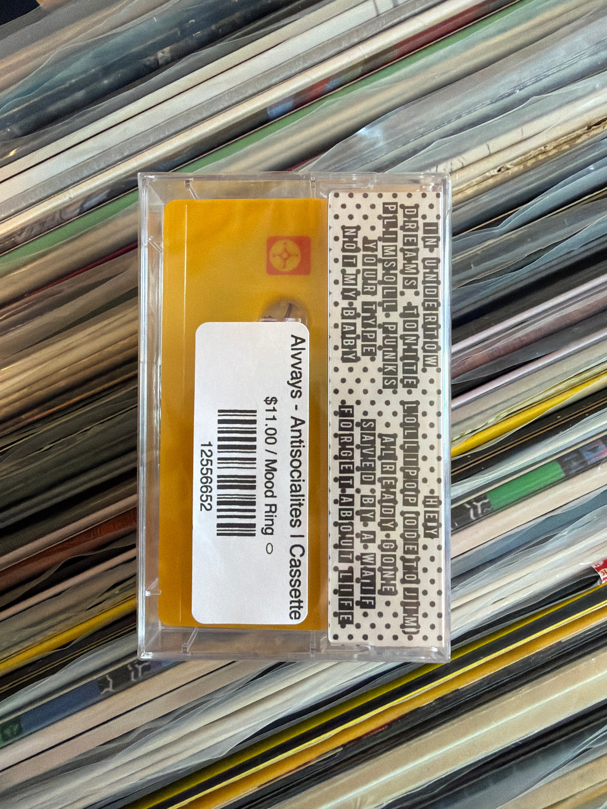 Alvvays - Antisocialites | Cassette