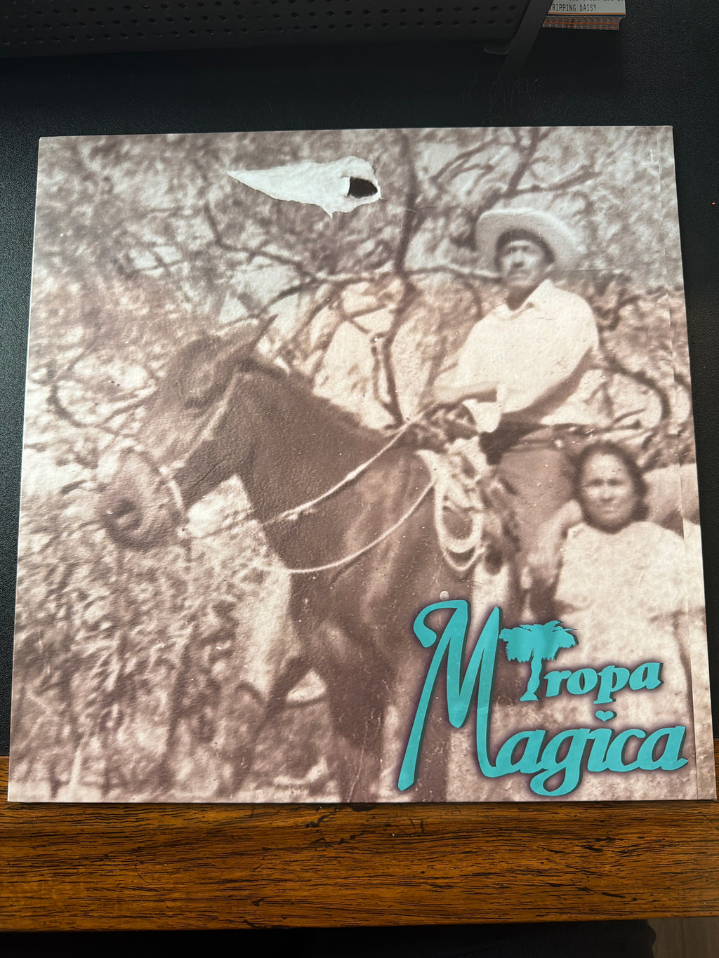 Tropa Magica - Tripiando al Infinito en Mi Recamara