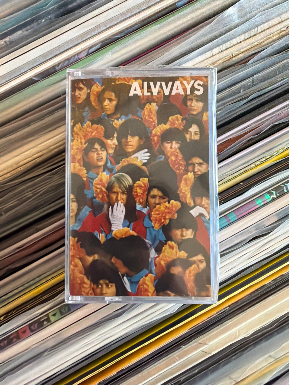 Alvvays - Alvvays | Cassette