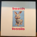 Beach Fossils - Bunny
