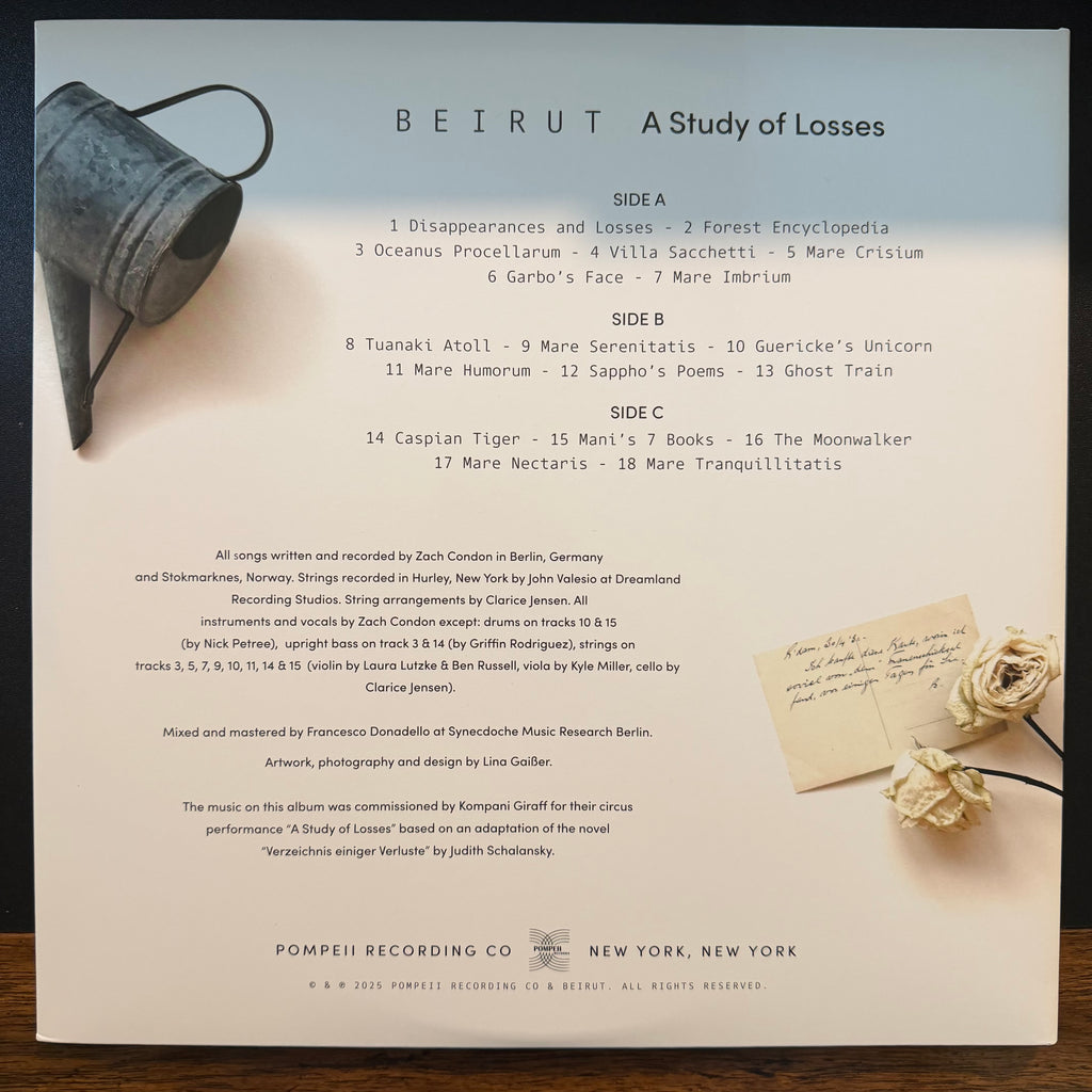 Beirut - A Study Of Losses